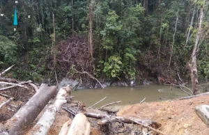 POHON DITEBANG - Tampak penebangan pohon di tepi sungai diduga dilakukan oleh salah satu perusahaan kayu di Malinau, Kaltara. (HO P3SM)